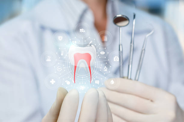 Trusted Elmsford, NY  Holistic Dental Services Experts